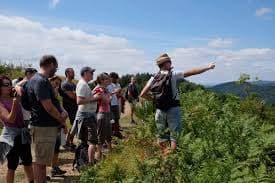Organisation de séjours touristiques